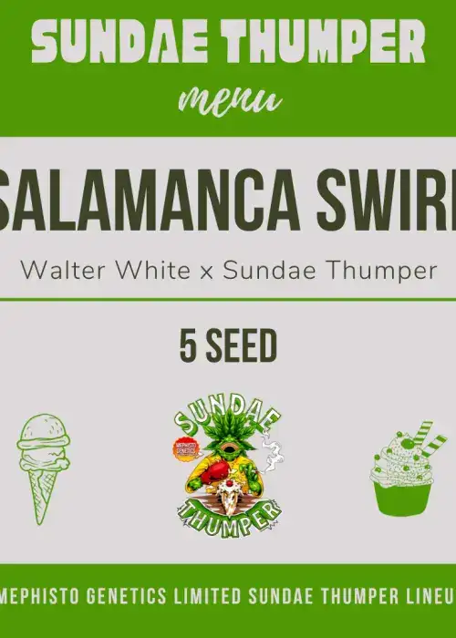 Salamanca Swirl Auto