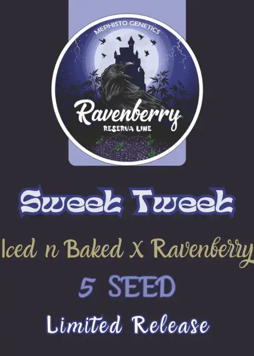 Sweet Tweet Auto