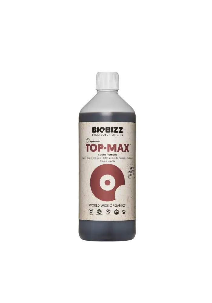 Top-Max