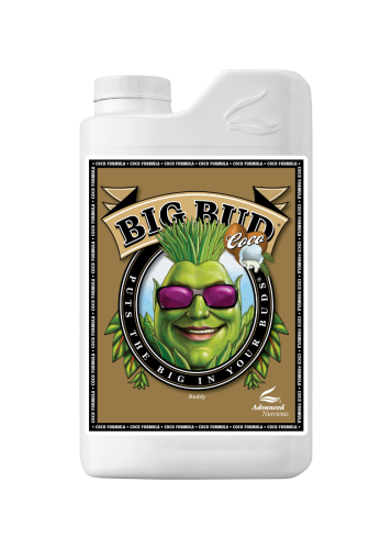 Big Bud Coco
