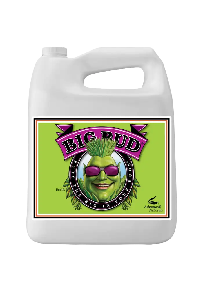 Big Bud