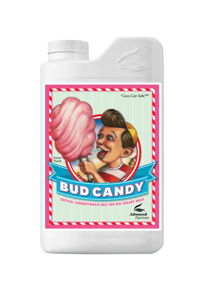 Bud Candy