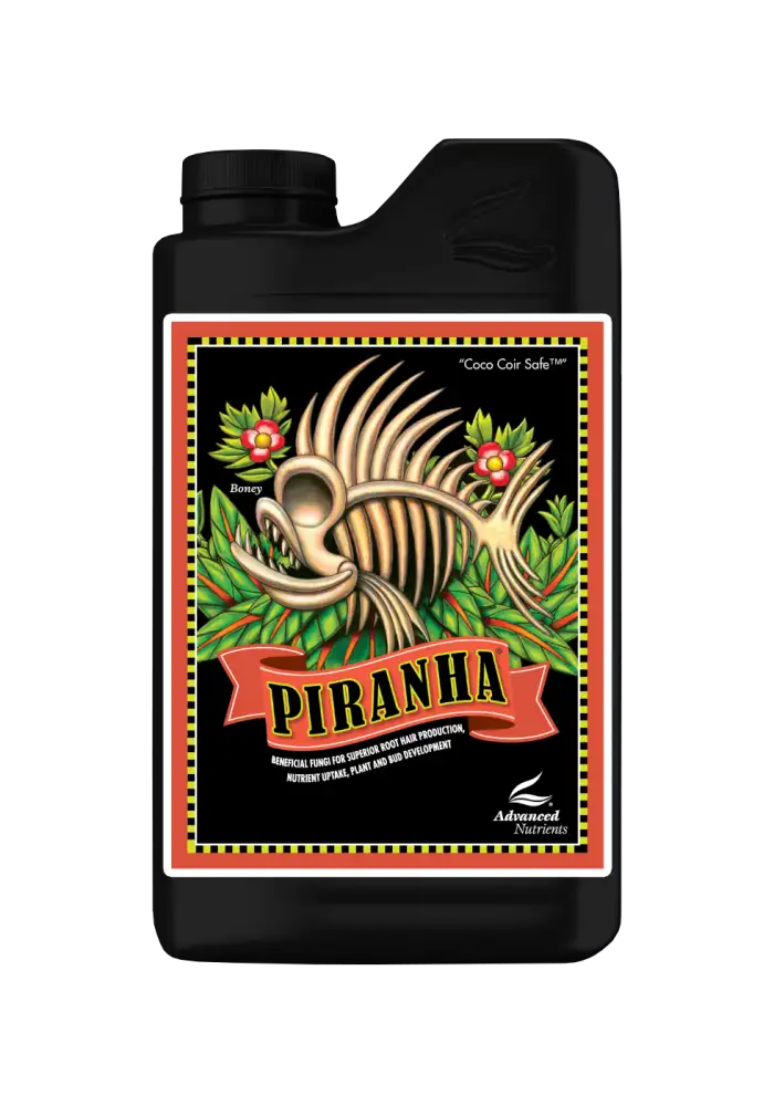 Piranha