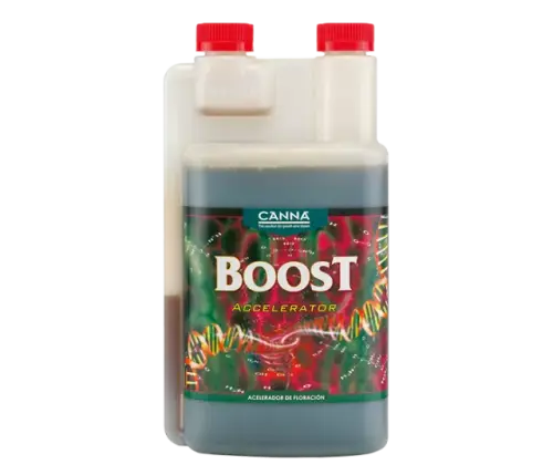 CANNA BOOST Accelerator