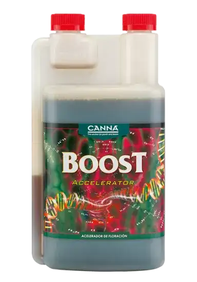 CANNA BOOST Accelerator