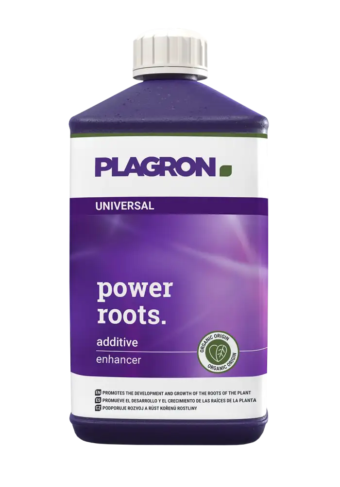 Power Roots