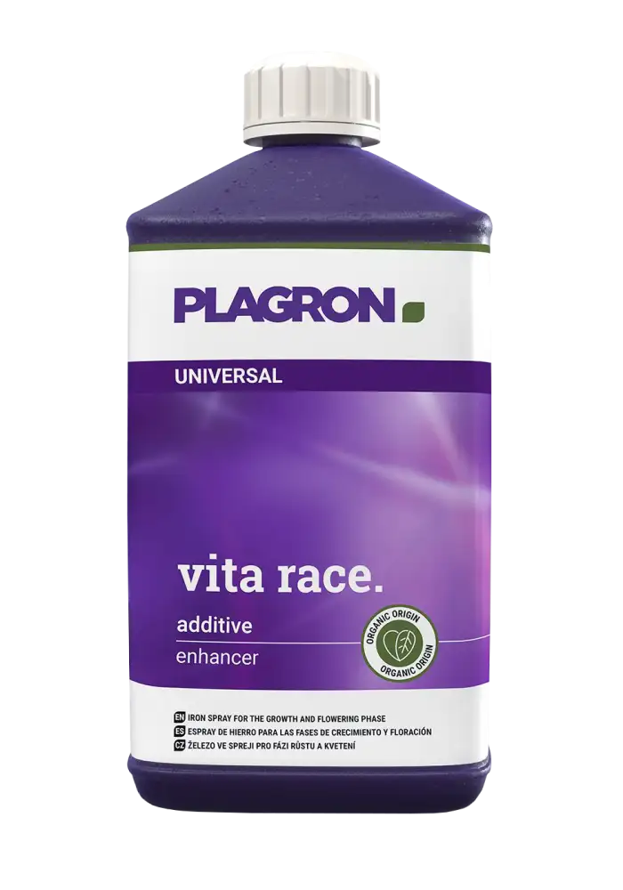 Vita Race