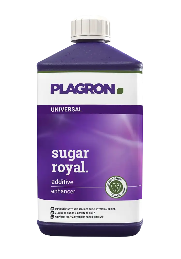 Sugar Royal
