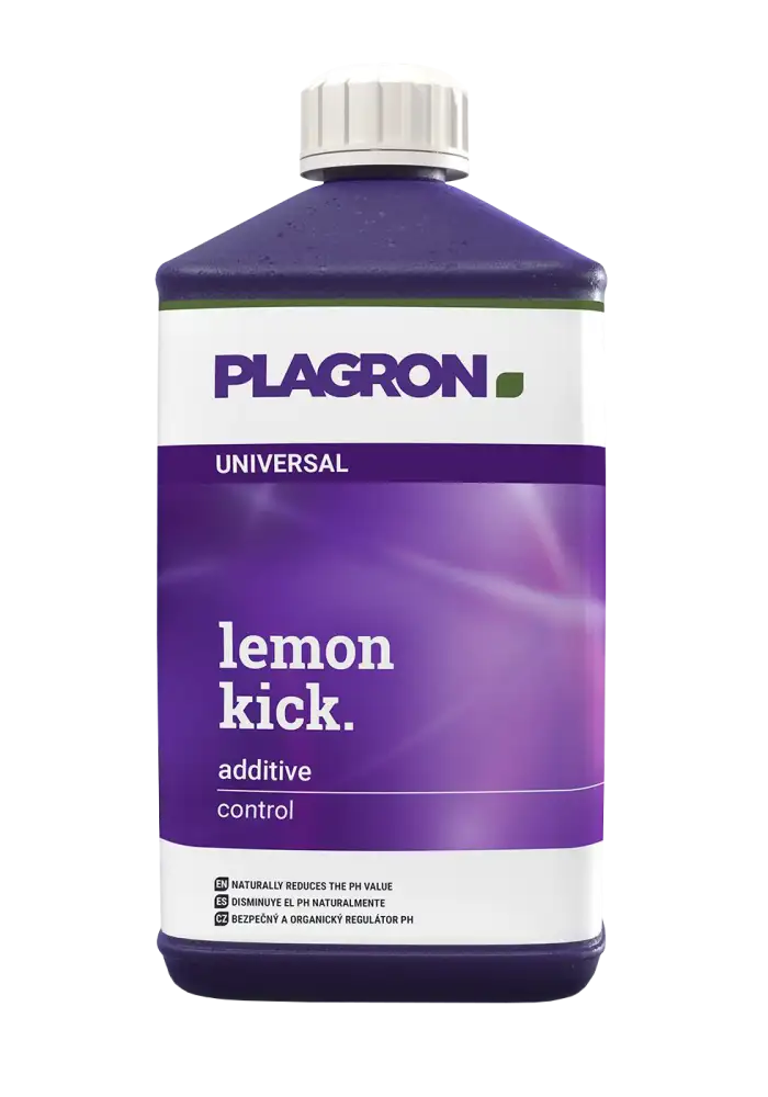 Lemon Kick
