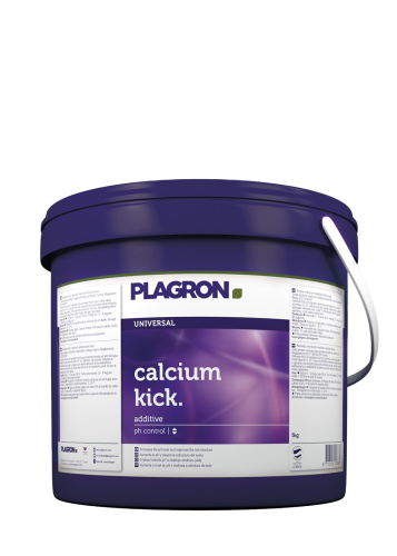 Calcium Kick