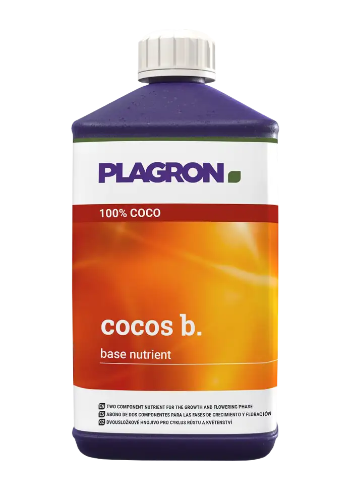 Cocos B