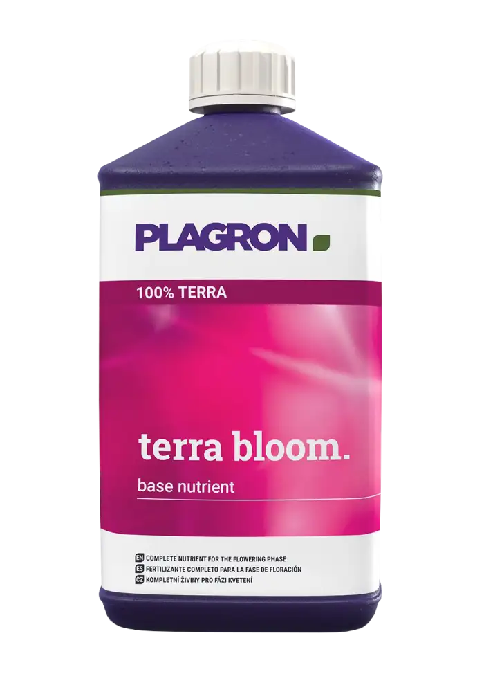 Terra Bloom