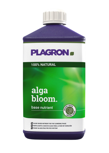 Alga Bloom