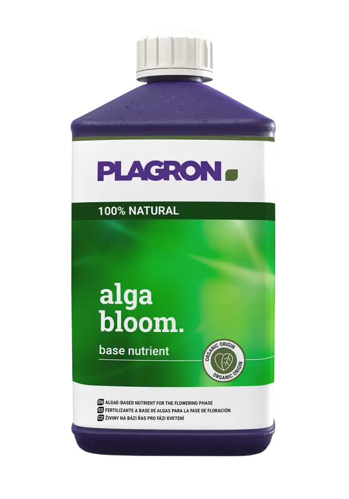 Alga Bloom
