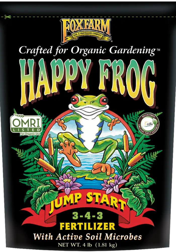 Happy Frog Jump Start 