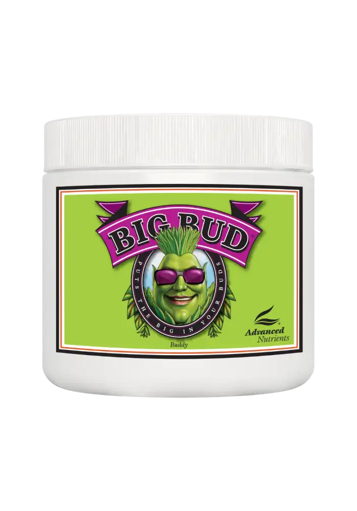  Big Bud Powder