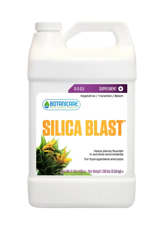 Silica Blast