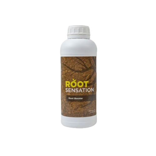 Root Sensation