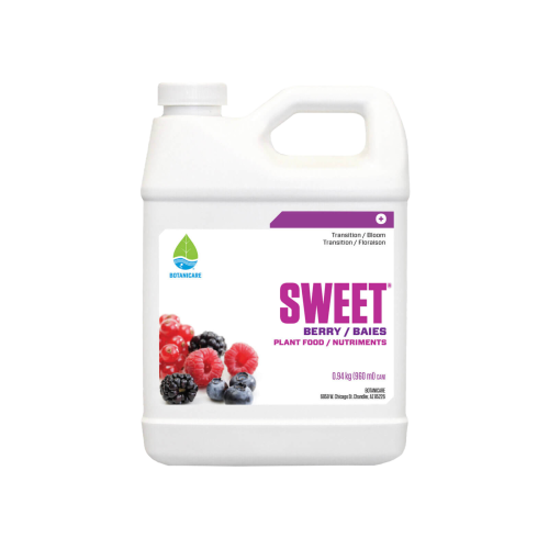 Sweet Berry