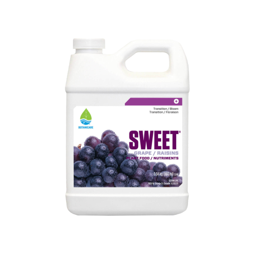 Sweet Grape