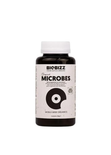 Microbes