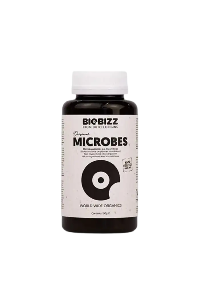 Microbes