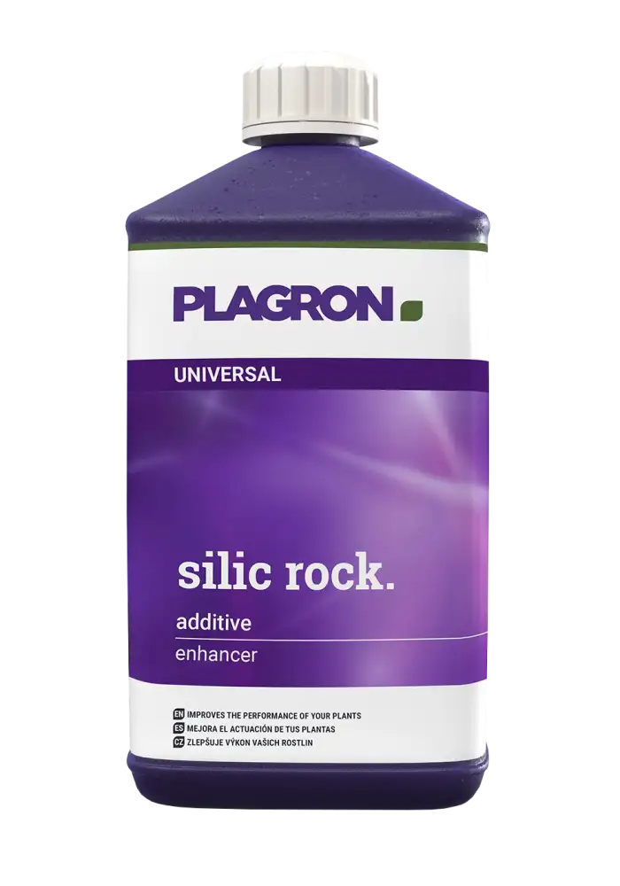 Silic Rock