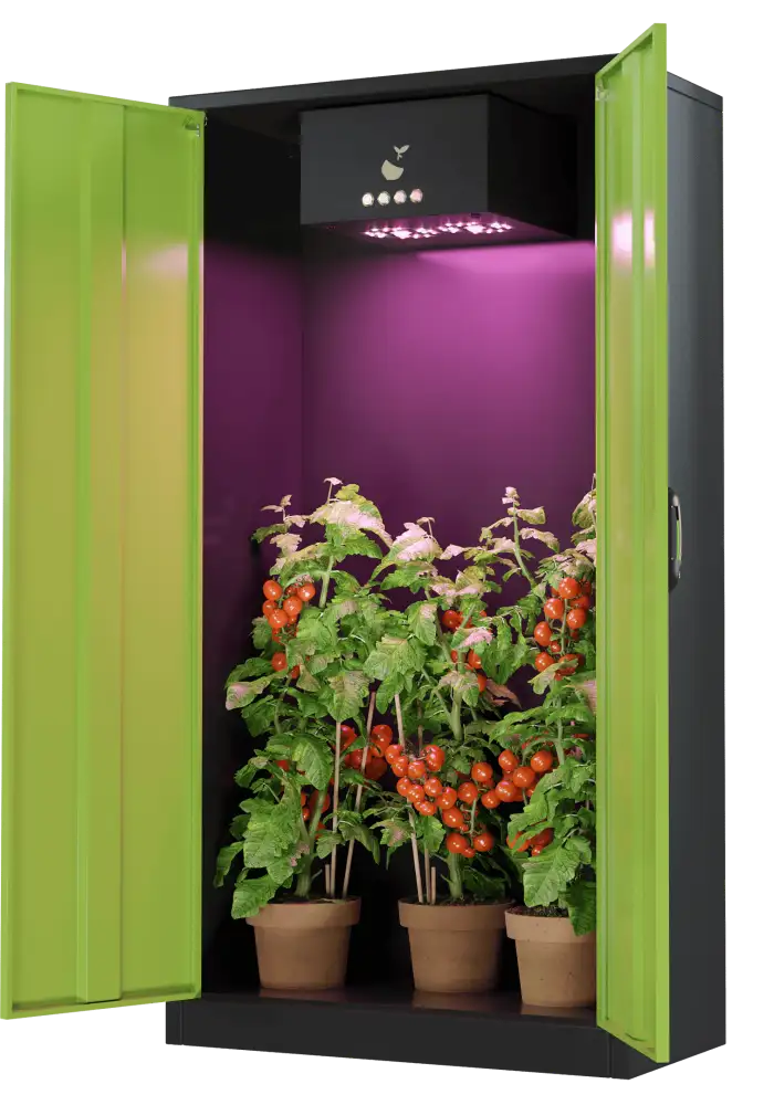 Plus Growbox