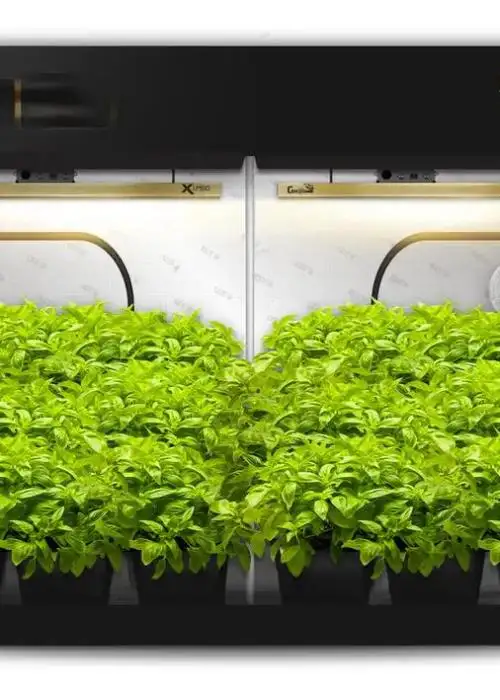 5x9 Grow Tent Kit Hydroponic with X750