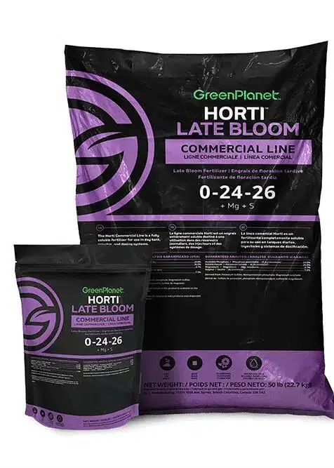 Horti Late Bloom