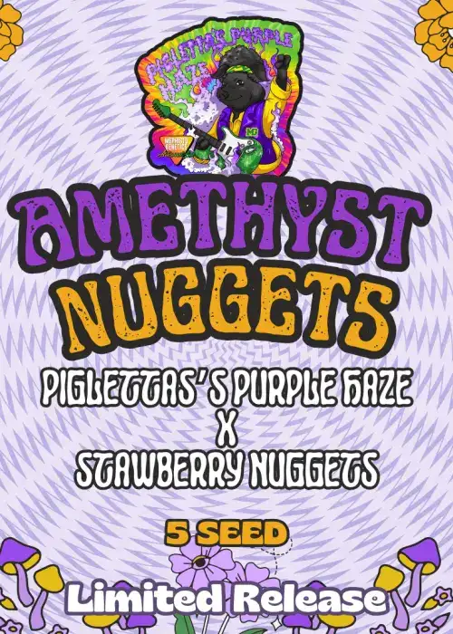 Amethyst Nuggets