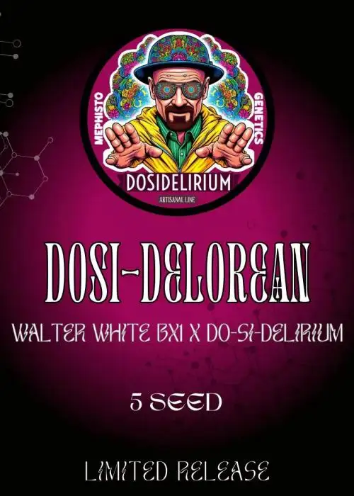 Dosi-DeLorean