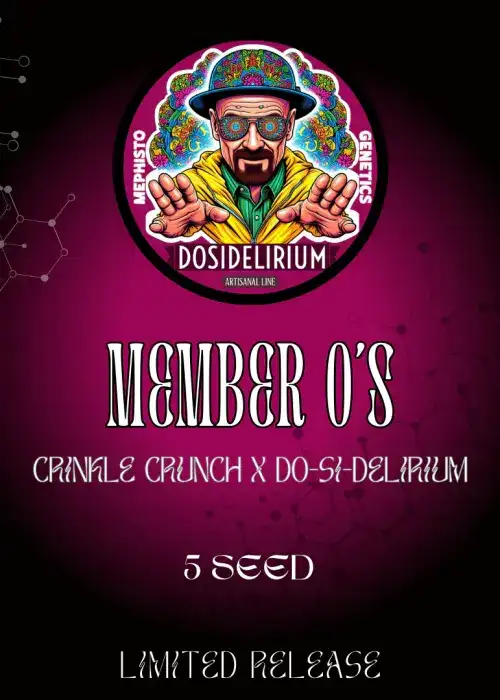 Member O's Auto