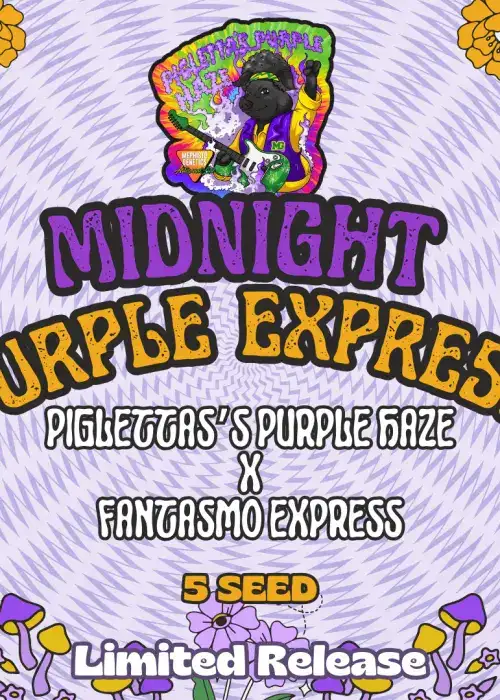 Midnight Purple Express