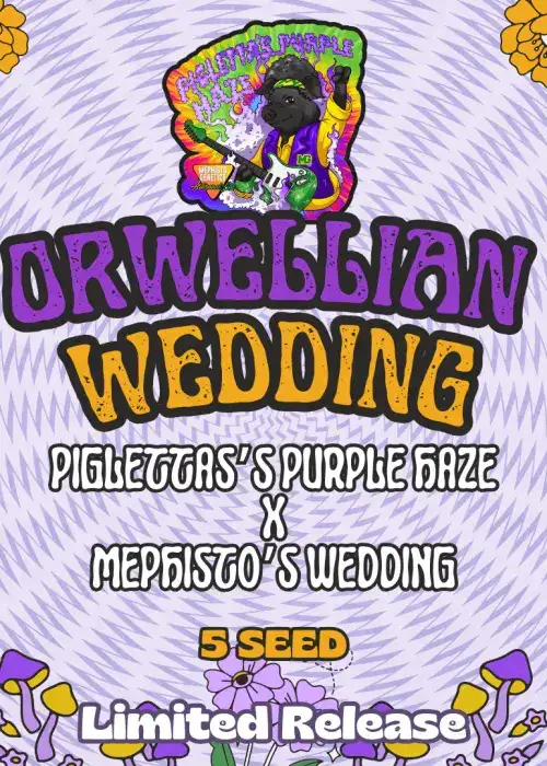 Orwellian Wedding