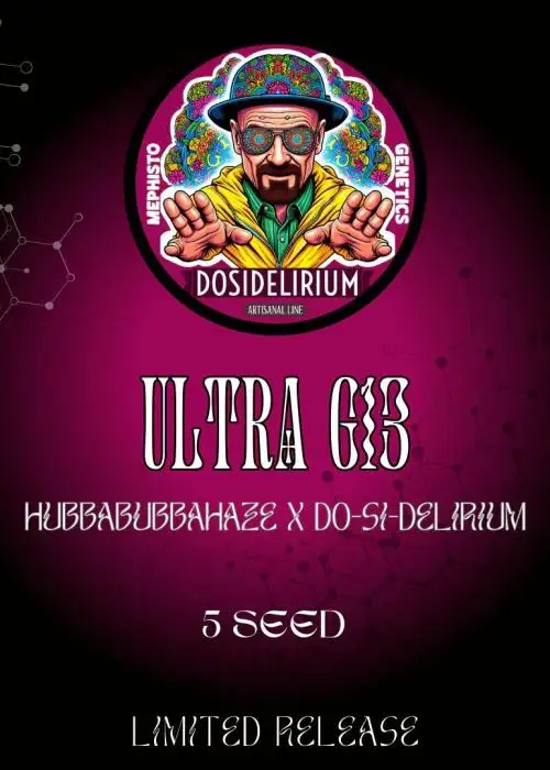 Ultra G13