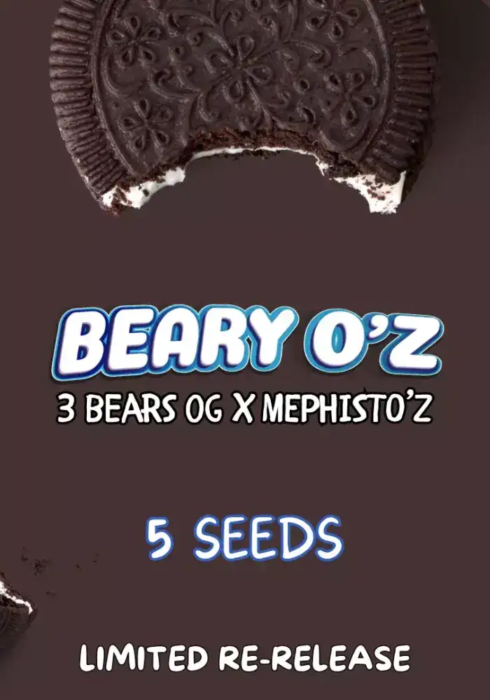 Beary Oreoz Auto