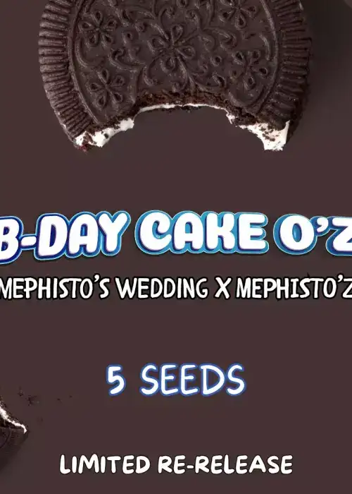 B-day Cake O'z