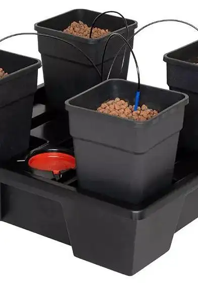 Wilma Large 4 Complete 11L