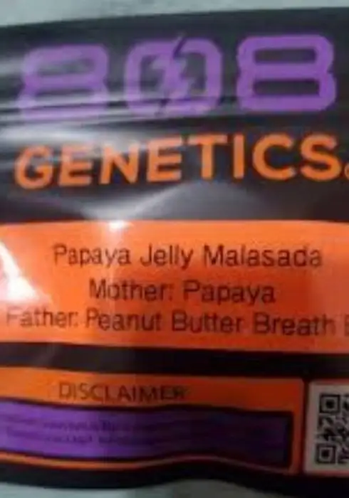 Papaya Jelly Malasada