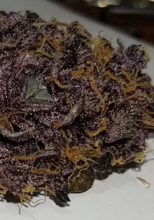 Grape Runtz Cake Auto