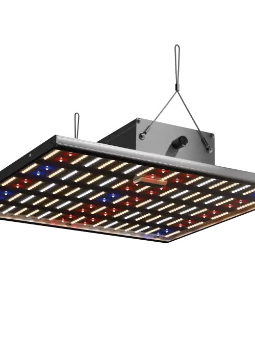LED Force 150 W