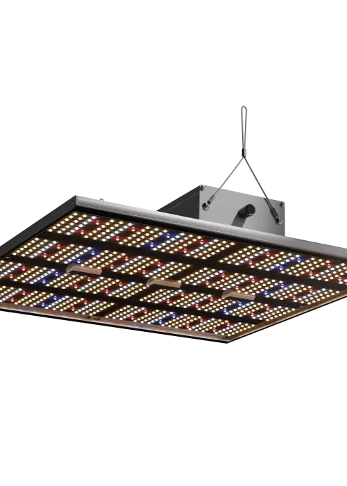 LED Force 240 W