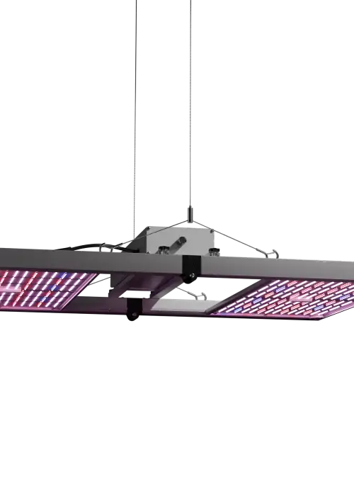 LED Force 480 W