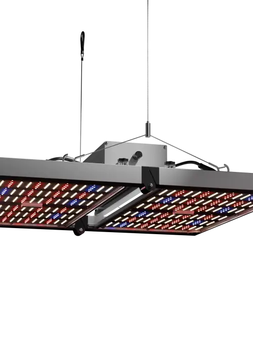 LED Force 320 W