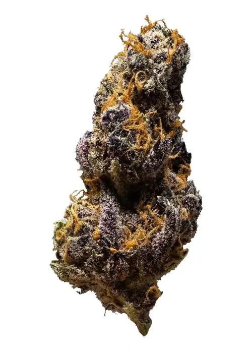 Black Cheese