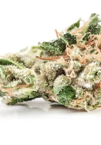 Auto Purple Kush