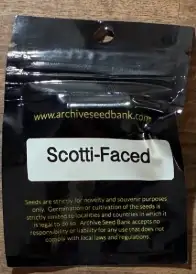 Scotti-Faced
