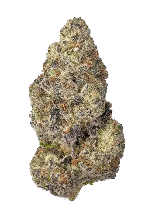 Strawberry Truffle