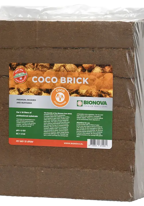 Coco Brick